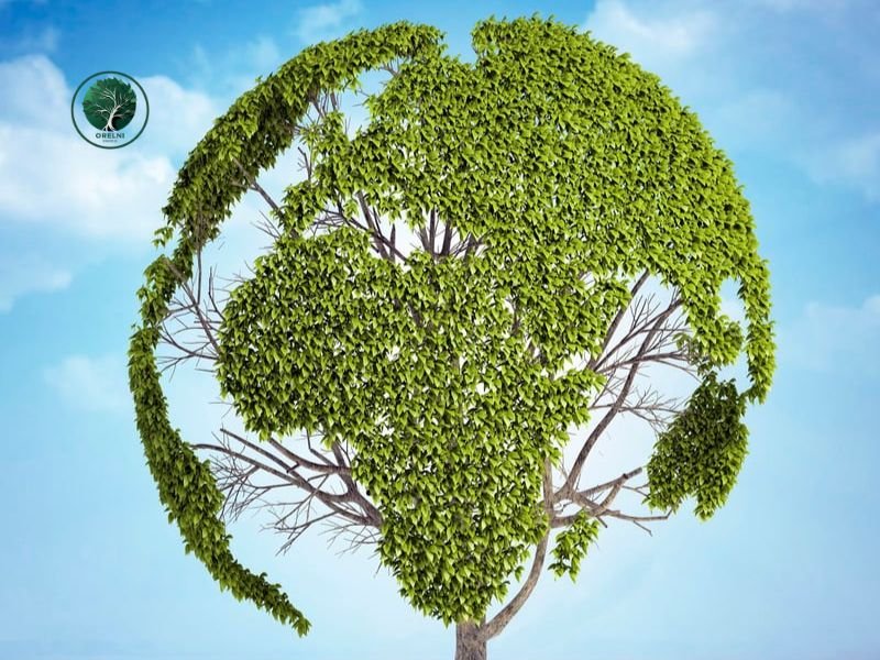 53ème Journée de la Terre : mobilisation citoyenne pour un avenir plus durable
