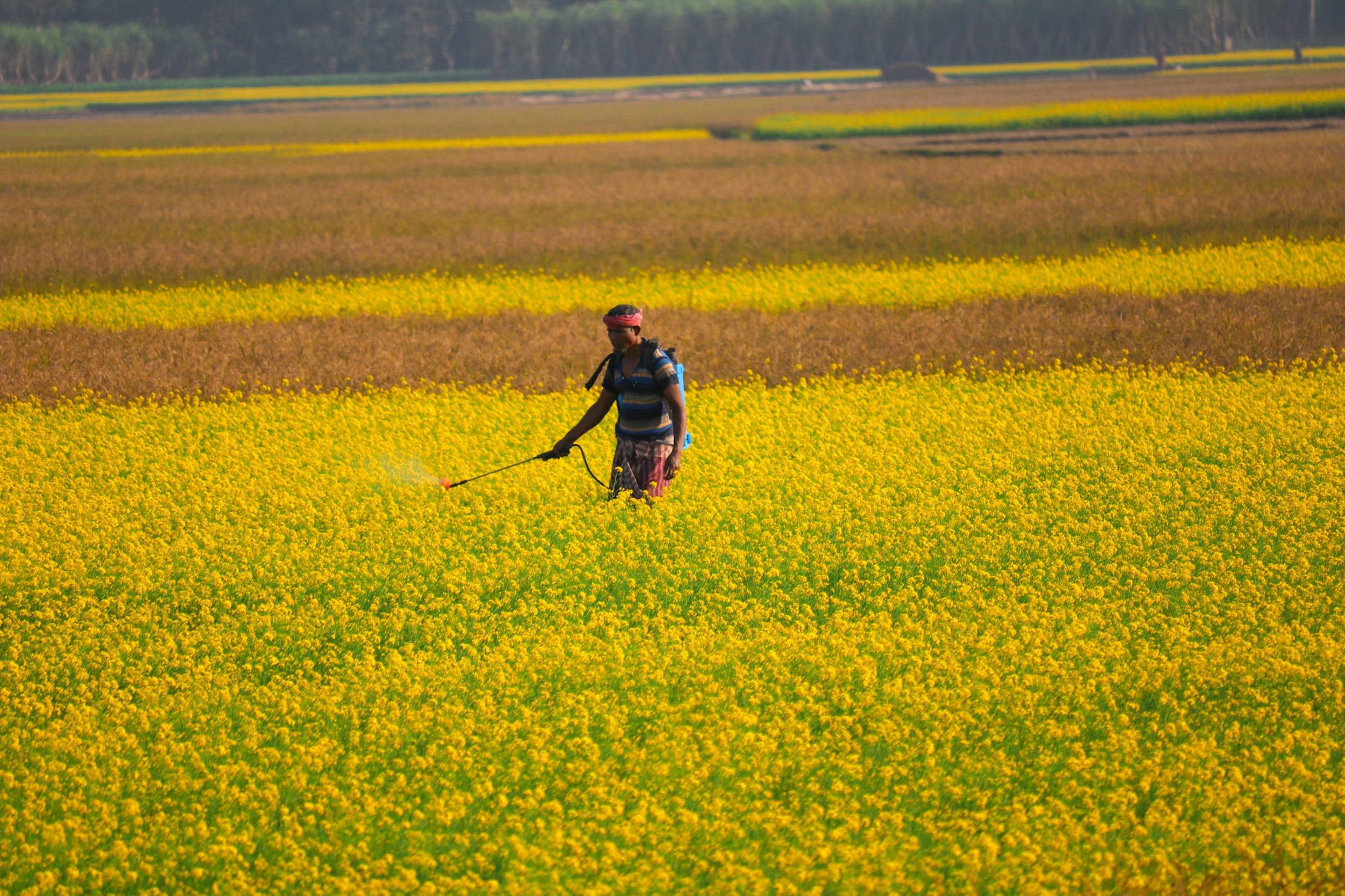 La Loi Fran Aise Pour Limiter L Utilisation Des Pesticides Tout Ce Qu