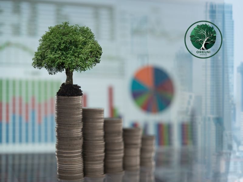Finance verte et énergies renouvelables : l’essor des investissements responsables pour contrer le changement climatique